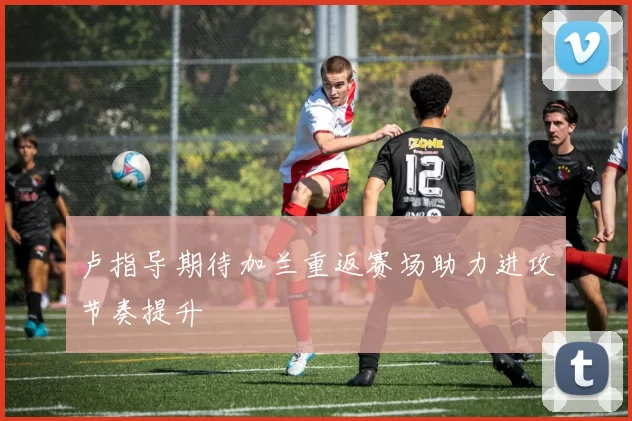 卢指导期待加兰重返赛场助力进攻节奏提升