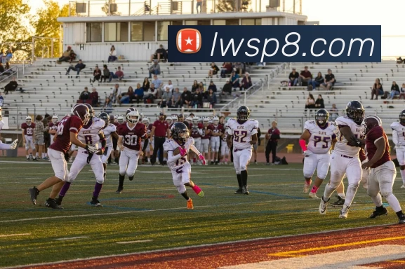 多媒体互动体验